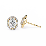 Oval Halo Studs