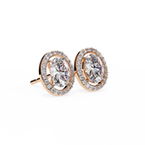 Oval Halo Studs