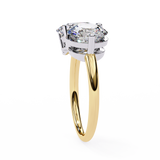 Oval & Round Toi Et Moi Ring