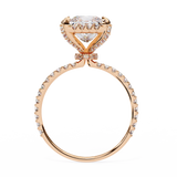 Halo 2.03 ct Princess with Side Diamond Ring